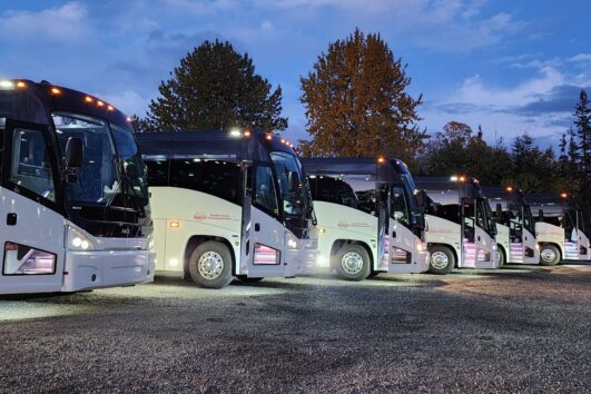 ALASKA BUS RENTAL - Everyday, Year Around