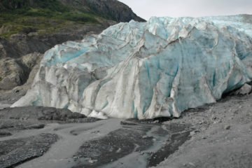 Anchorage Seward wildlife glacier bus tour