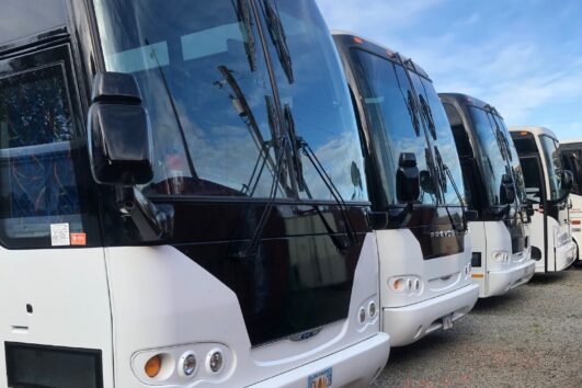 Anchorage to Denali Park Bus Transfers - Everyday
