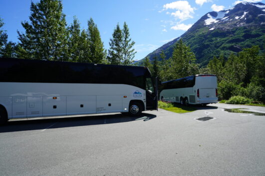 Denali Park to Anchorage Bus Transfers - Everyday