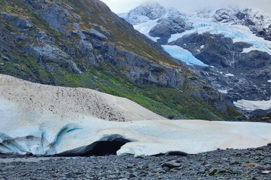 Anchorage to Whittier Bus Tour with Wildlife, Glacier, and Lunch - Cruise Ship Days